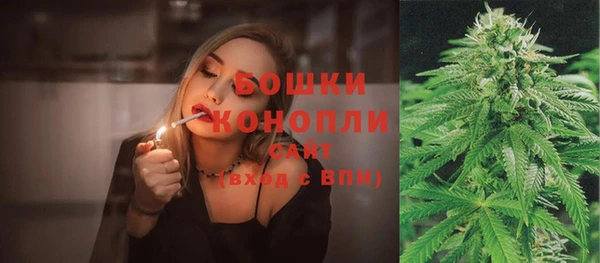 гидра Гусев