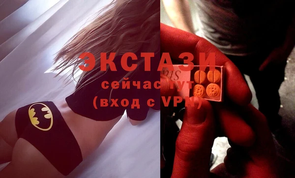 гидра Гусев