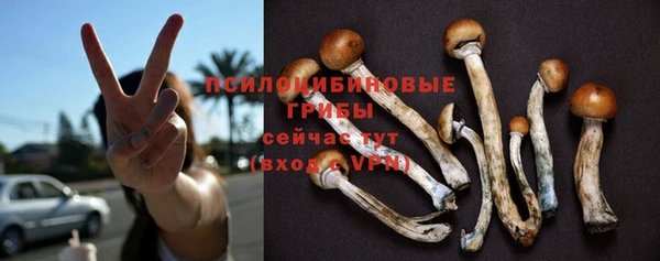 дмт Гусиноозёрск