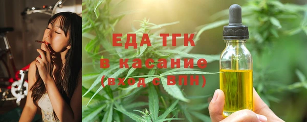 гидра Гусев