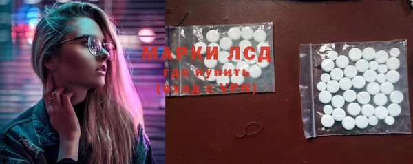 гидра Гусев