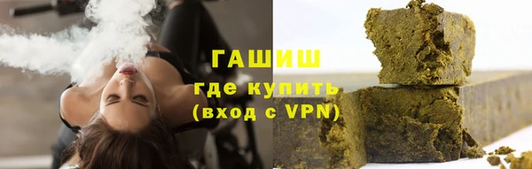 гидра Гусев