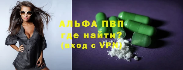 гидра Гусев