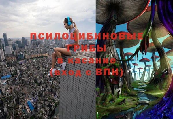 крисы Гусь-Хрустальный