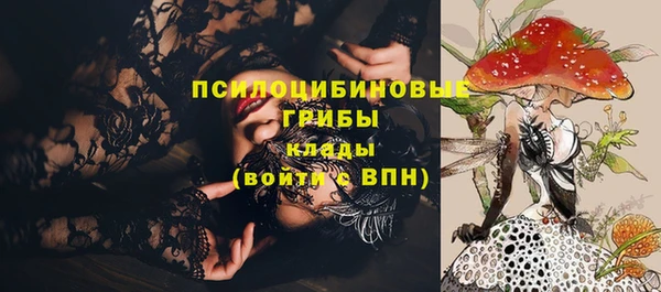 крисы Гусь-Хрустальный