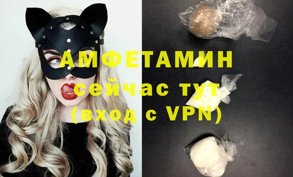 гидра Гусев