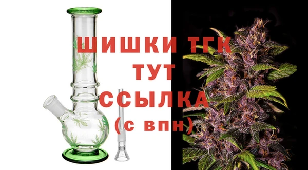 гидра Гусев
