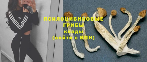 гидра Гусев