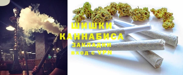 гидра Гусев