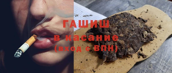 гидра Гусев