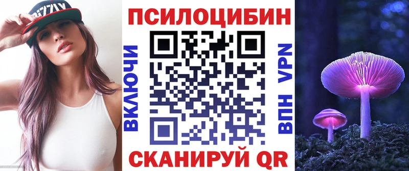 Псилоцибиновые грибы Psilocybe  Купить  Сунжа 